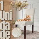 Capa de Cadeira Linha Gold Anti Gato Italiana - Creme