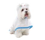 Capa de Chuva para Cachorro e Gato Pet