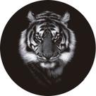 Capa de Estepe para Ecosport Crossfox Aircross Tigre - CN1202