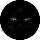 Capa de Estepe para Ecosport Crossfox Felino Gato Preto Olhos Verdes CN904 - Lorben