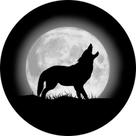 Capa de Estepe para Ecosport Crossfox Lobo CN40 - Lorben