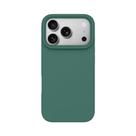 Capa De Silicone Líquido Fosco Macio Para iPhone 17 16 15 14 13 12 11 pro Max plus Proteção De Cor