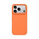 Capa De Silicone Líquido Fosco Macio Para iPhone 17 16 15 14 13 12 11 pro Max plus Proteção De Cor