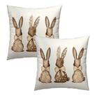 Capa de travesseiro Anyako Easter Grey Bow Rabbit 60x60cm Conjunto de 2