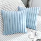 Capa de travesseiro Bunliuys Velvet Faux Fur 45x45cm Azul claro x2