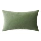 Capa de travesseiro MIULEE Velvet Soft Luxury Decor 30x50cm verde sálvia