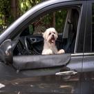 Capa Impermeável Para Porta de Carro Contra Arranhões de Pet Tamanho Universal Fixação Com Ventosa