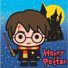 Capa Para Almofadas Harry Potter