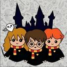 Capa Para Almofadas Harry Potter