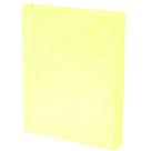Capa Para Encadernação Pp A4 Amarelo C/ 100 Unidades Capa Para Encadernação Pp A4 Amarelo C/ 100 Unidades