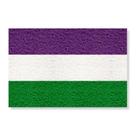 Capacho bandeira queer