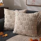Capas de travesseiro DFXSZ Fall 50x50cm, conjunto de 2 decorações bege de outono Capas de travesseiro DFXSZ Fall 50x50cm, conjunto de 2 decorações bege de outono