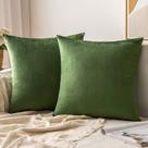 Capas de travesseiro MIULEE Velvet Soft Decorative 45x45cm, verde musgo