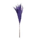 Capim Champagne Roxo Desidratado