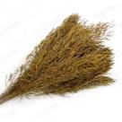 Capim Chorão André Quicé Desidratado Flores Secas - Amarelo Capim Chorão André Quicé Desidratado Flores Secas - Amarelo