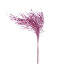 Capim Chorão Rosa Desidratado