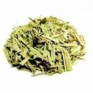 Capim Colonia 100g