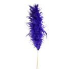 Capim Dos Pampas 90cm - Lilás (Haste)
