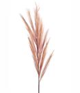 Capim dos pampas decorativo cor cafe 110cm