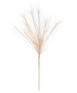 CAPIM DOS PAMPAS PLUMA X7 SALMON 70cm