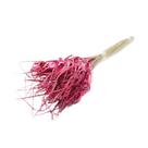 Capim Estrela Rosa Desidratado