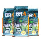 Capim Gado Leite Engorda Brachiaria Ruziziensis Semente Incrustada 30Kg