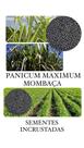 Capim Mombaça Panicum Maximum - 20KG de Sementes Incrustadas Capim Mombaça Panicum Maximum - 20KG de Sementes Incrustadas
