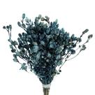 Capim Ramo Azul p/ Decoração