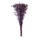 Capim Ramo Roxo p/ Decoração