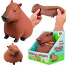 Capivara Antiestresse Em Borracha Macia Estica Esmaga Squishy Sensorial Relaxante 12 Cm