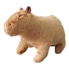 Capivara Filó Brinquedo De Pelúcia Adorável Fofa Famosa