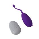 Capsula Estimuladora Com Cerdas Massageadoras Vibra