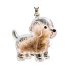 Cápsula Memorial Transparente Para Pelos De Animais De Estimação, Pingente Chaveiro De Pelos De Cão