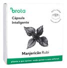 Cápsula Reposição Horta Inteligente (manjericão Rubi) Brota