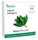 Cápsula Reposição Horta Inteligente (Salvia Officinalis) Brota