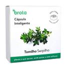 Cápsula Reposição Horta Inteligente (Tomilho Serpilho) Brota