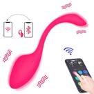 Cápsula Vibratória USB Multivelocidade Controlado por APP