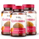 Capsulas de Quitosana 500mg - Suplemento Alimentar de Fibras Naturais - 3 POTES
