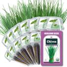 Cápsulas de sementes de cebolinha HiHOYA kit hidropônico de ervas com 12 unidades Cápsulas de sementes de cebolinha HiHOYA kit hidropônico de ervas com 12 unidades