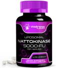 Cápsulas de suplemento WELLNESS LABSRX Nattokinase 5000FU 120 ct