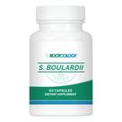 Cápsulas Probióticas Rootcology S. Boulardii - 10 Bilhões de CFU