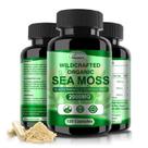 Cápsulas Sea Moss Fleamart 120 quilates cruas orgânicas com bexiga