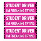 Car Magnet Miss Kiss Student Driver, pacote com 3 unidades, extra grande, rosa Car Magnet Miss Kiss Student Driver, pacote com 3 unidades, extra grande, rosa
