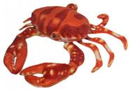 Caranguejo Real De Pelúcia 31 Cm Antialérgico Caranguejo Real De Pelúcia 31 Cm Antialérgico