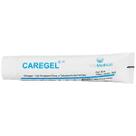 Caregel Hidrogel Vita Medical 30g