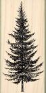 Carimbos de borracha da Impression Pine Tree Christmas ST 0926