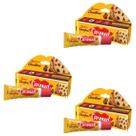 Carmed Bauducco Chocotone 10g Protetor Labial Kit C/3