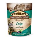 Carnilove dog pouch paté carp with black carrot 300 g (promocional)