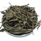 Carqueja Doce 100Gr (Erva seca para chá)