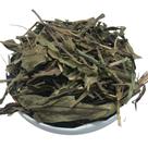 Carqueja Doce 100Gr (Erva seca)